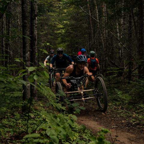 Photo of a group of mountain bike cyclists biking in wooded terrain.