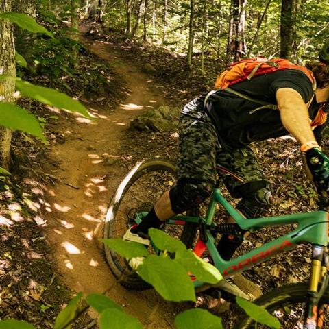 Photo of a person cycling through rough terrain in a wooded area.